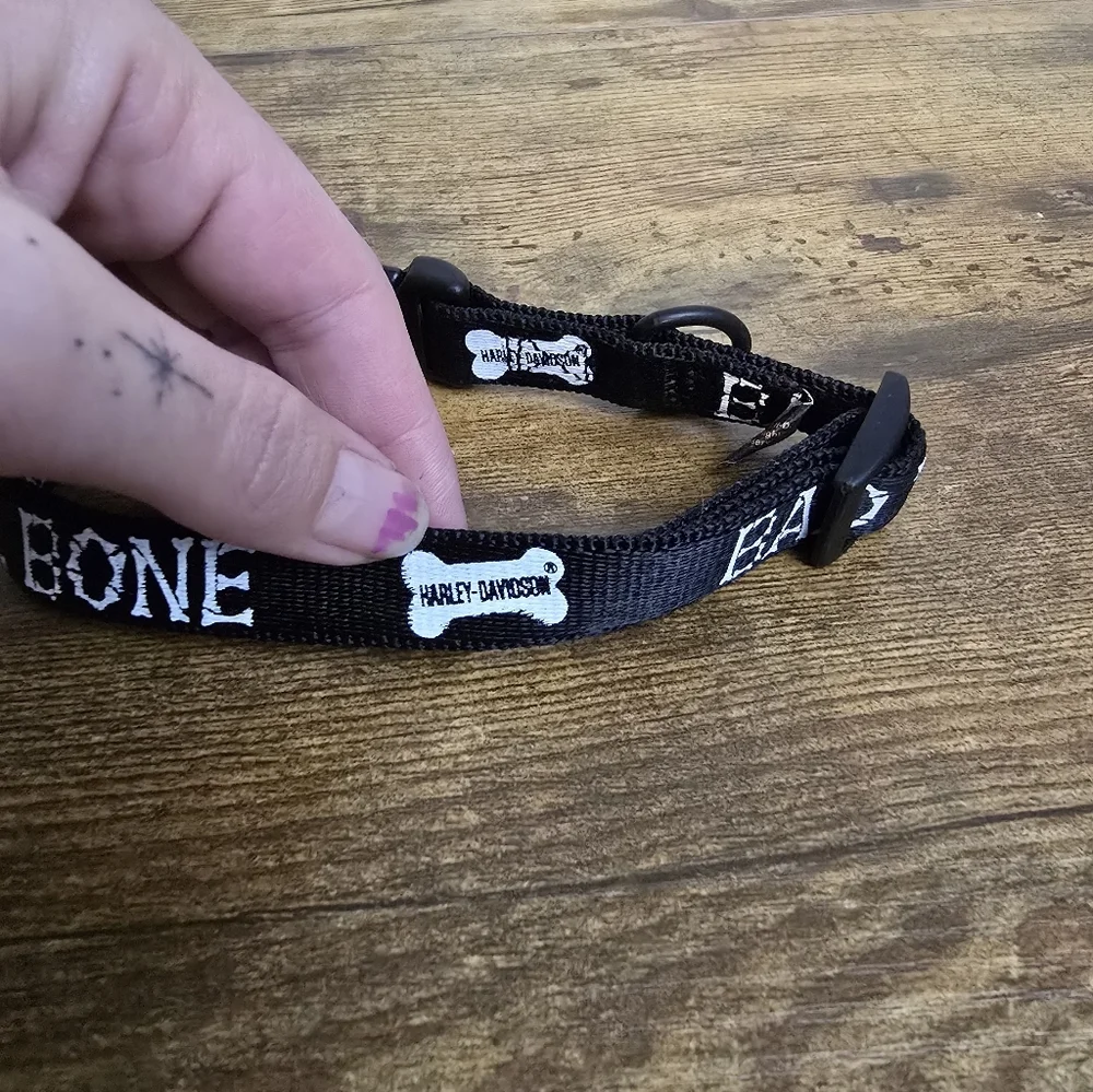 Vintage Harley Davidson 2002 Black 'Bad to the Bone' Dog Collar